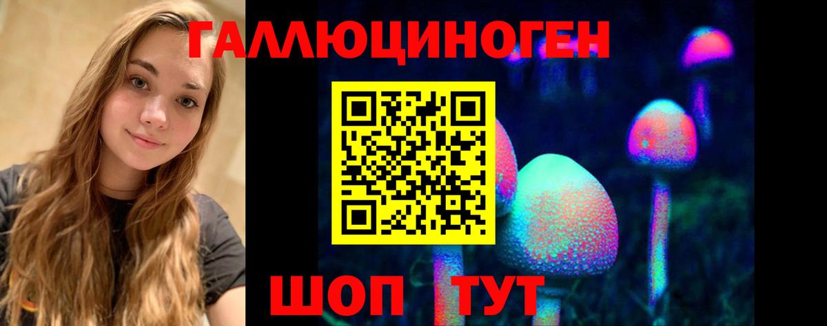купить наркоту  Псилоцибиновые грибы Cubensis  Вход с VPN  Мценск 