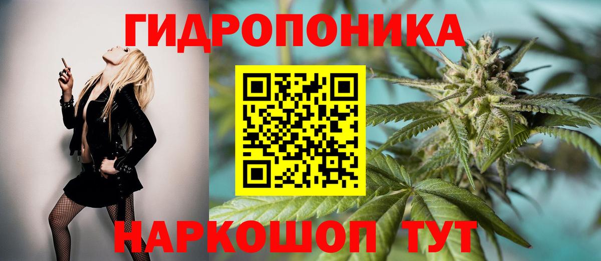 Канабис OG Kush  Шишки марихуана гибрид  Вход с VPN  Мценск 